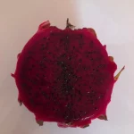 1 PIANTA DI PITAYA ROSSA, 30-40 CM , FRUTTO DEL DRAGO, VARIETA' AUTOFERTILE ZAMORANO/GUYUTE VIVAI VALTELLINA